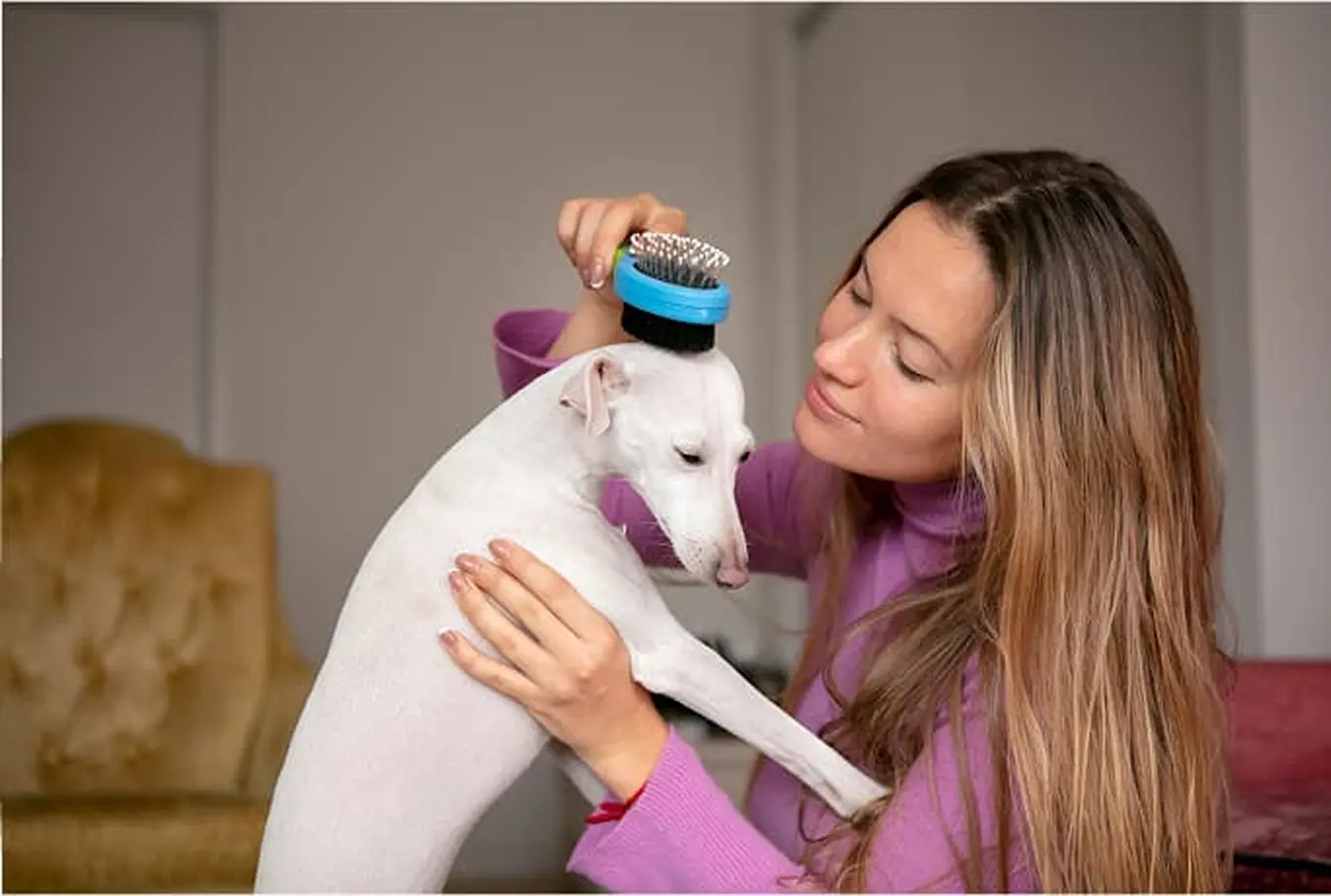 Professional pet care staff at White Dog Pet Partner