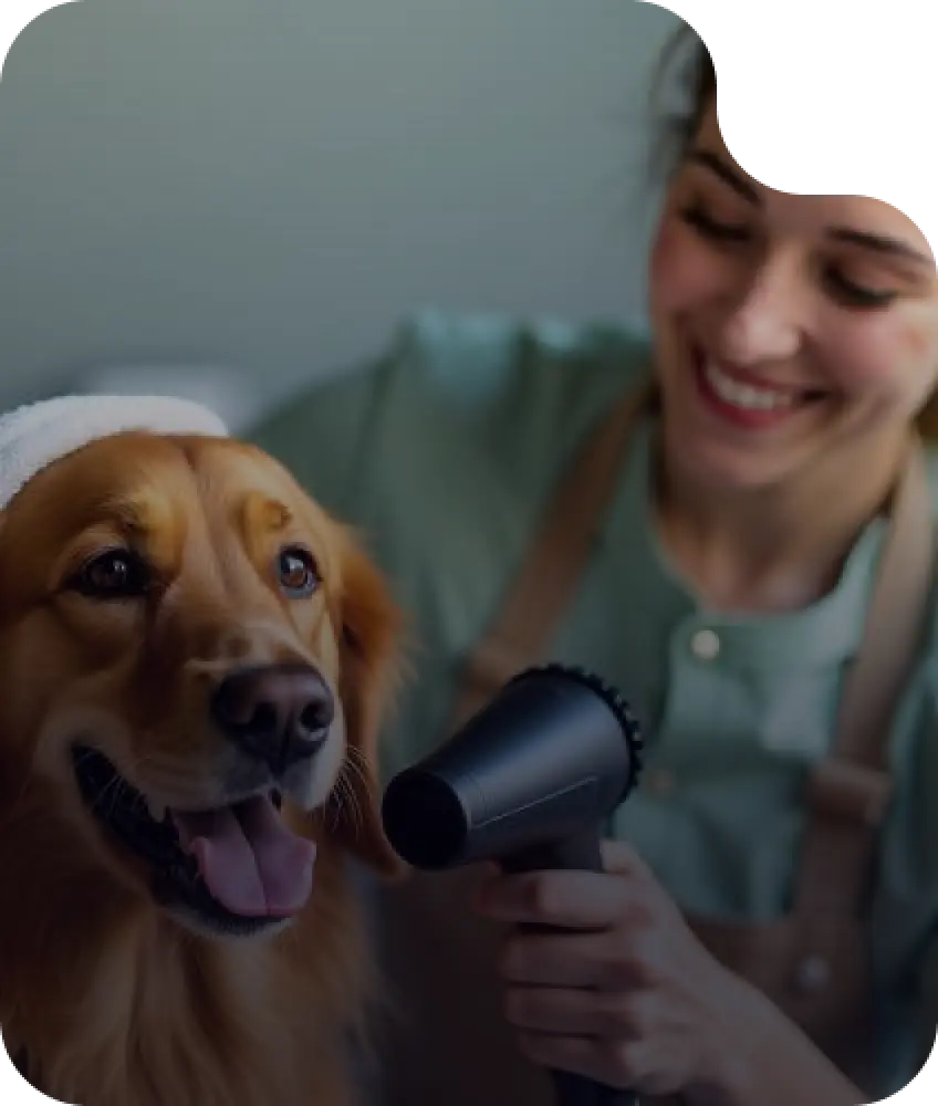 Dog bath and drying service