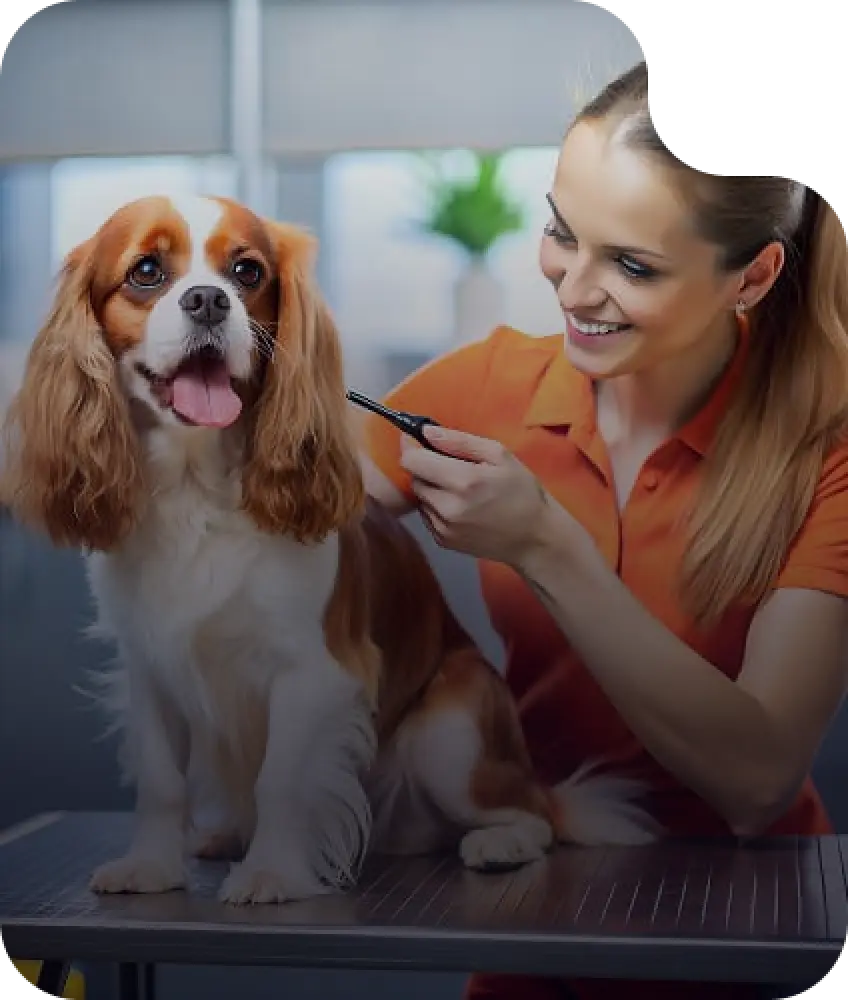 Pet Flea Treatment and Control