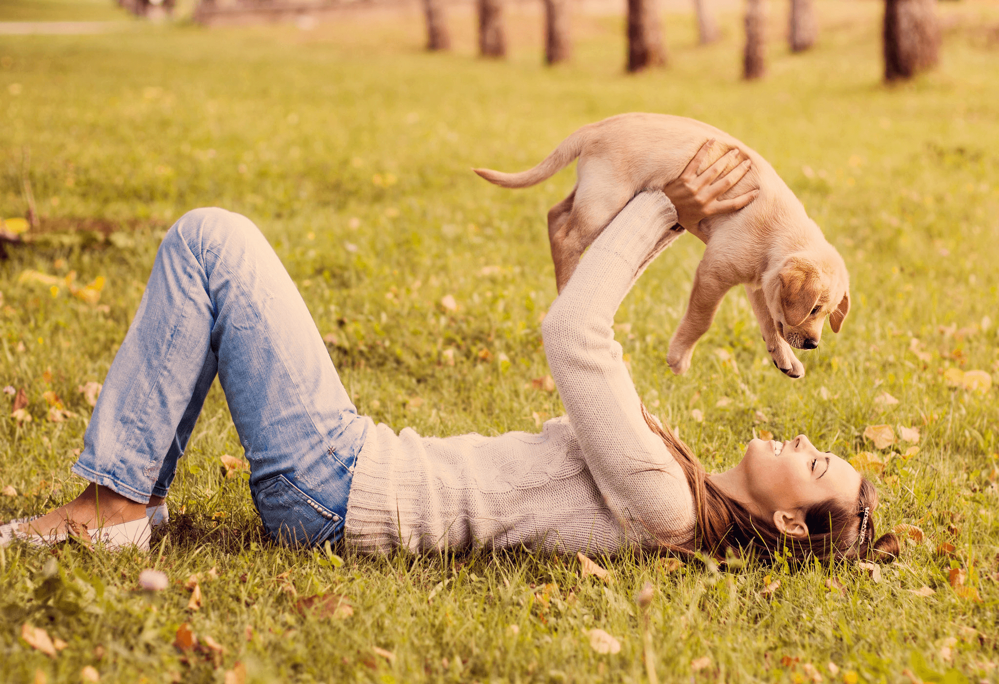 Dog training img
